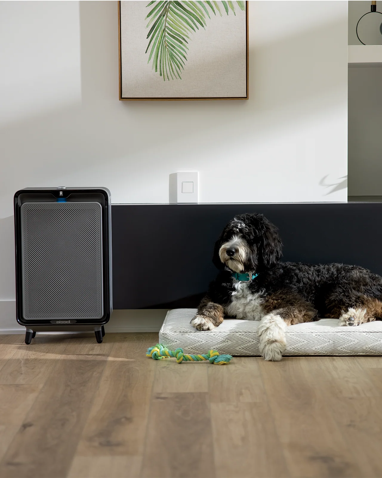 Air220 Air Purifier | 3001F - Image 17