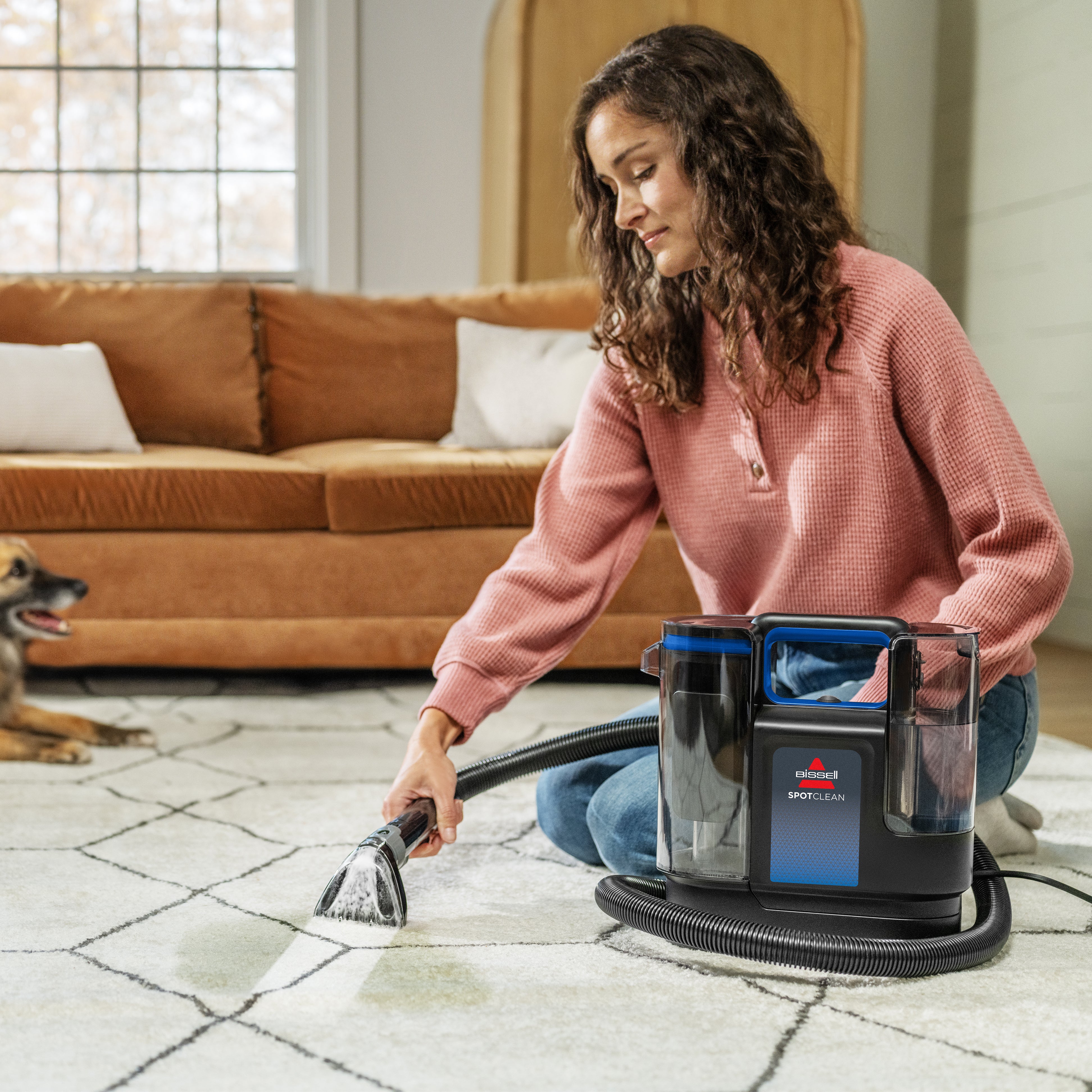 Refurbished SpotClean™ - Image 16