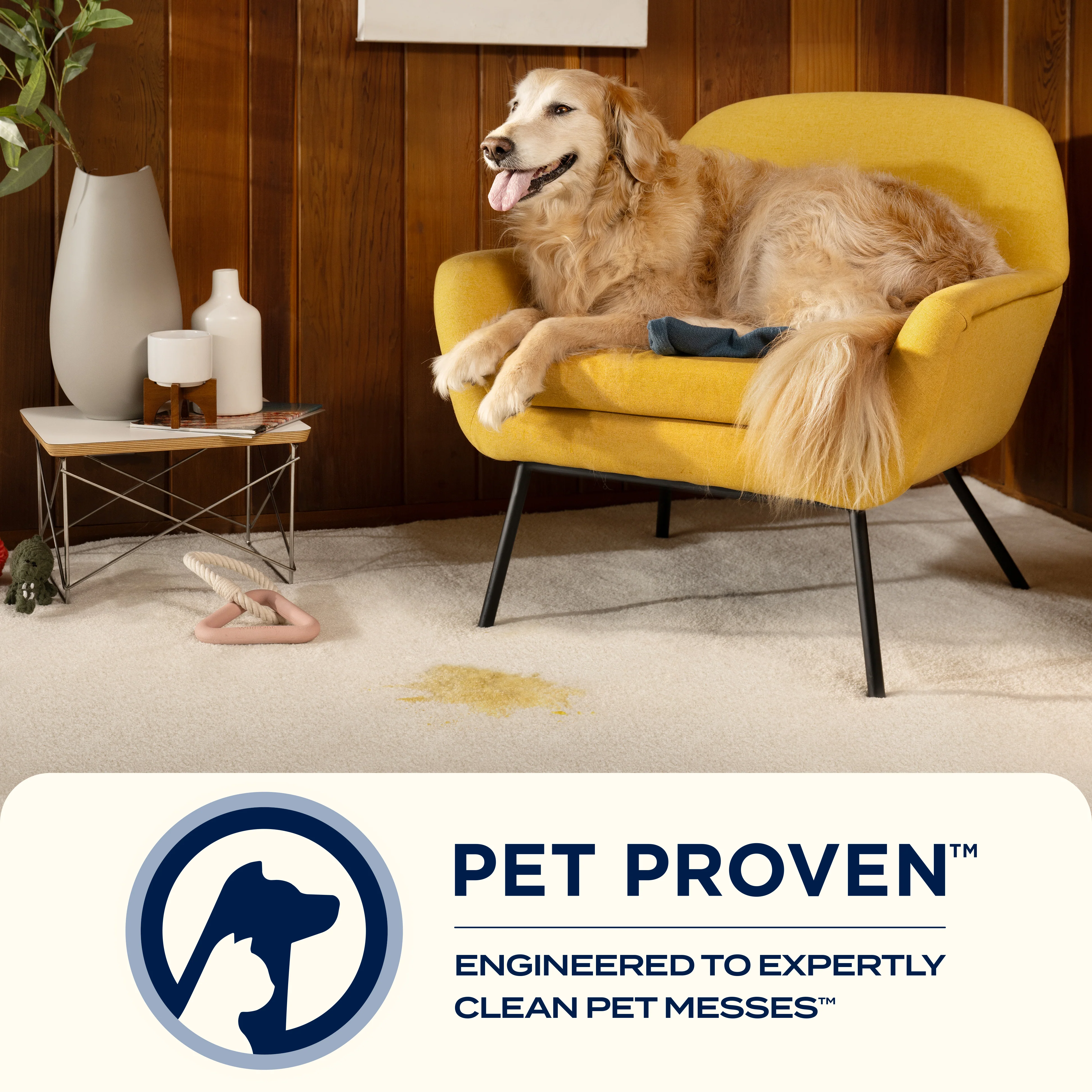 SpotClean™ Professional - Image 7
