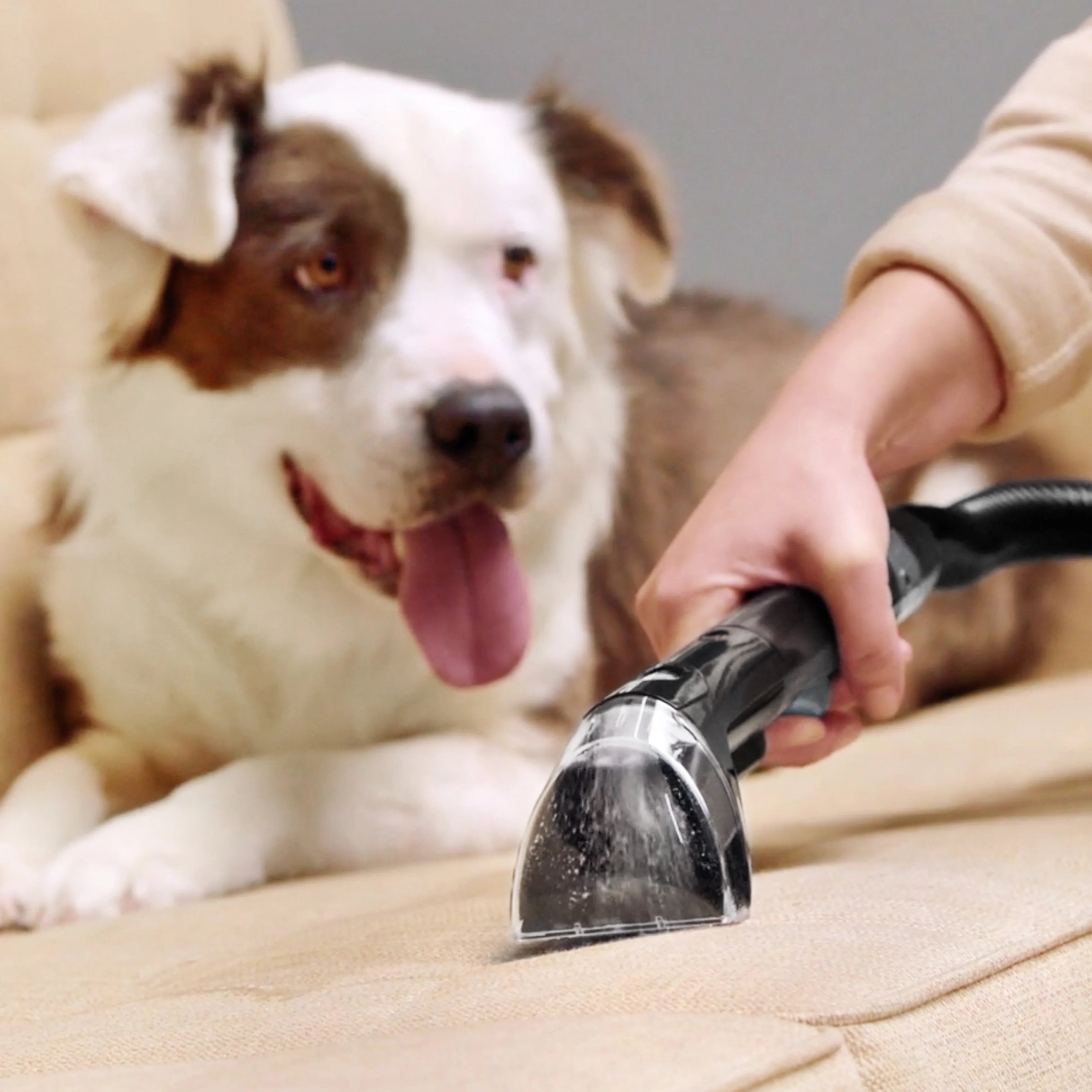 SpotClean MAX - Image 5
